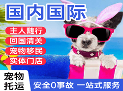 承德机场物流国际宠物托运 【国